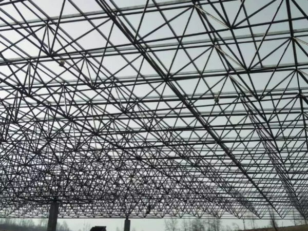 樟树螺栓球网架